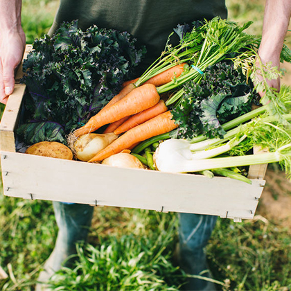 Person holding a wooden box full of fresh produce